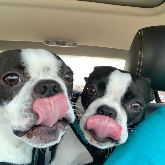 Meet your Posher, Lisa - Picture 2 of 5